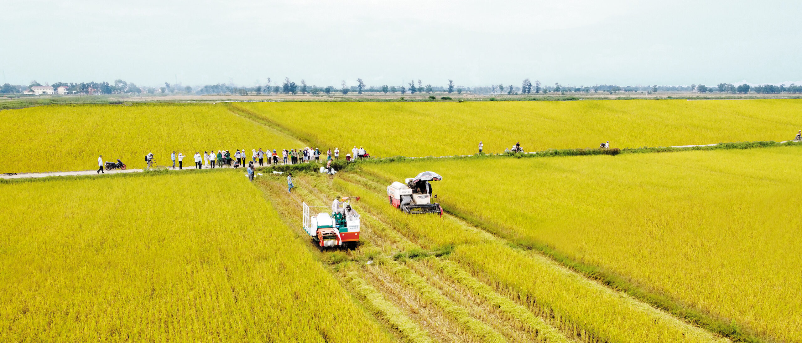 378266272 317440490805549 1103458590951419547 n scaled