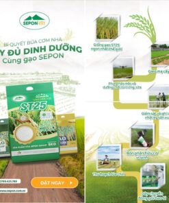 image 2023 07 18T09 58 23 083Z